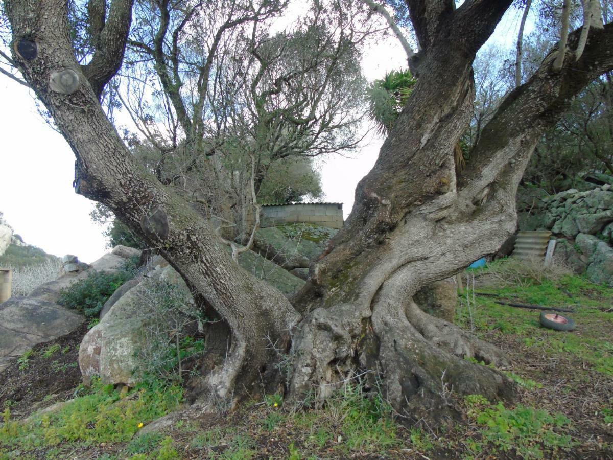 Casa Eleonora Villa ซานตา เตเรซา กัลลูรา ภายนอก รูปภาพ